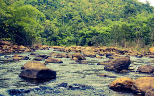 Pamuleru Vagu 